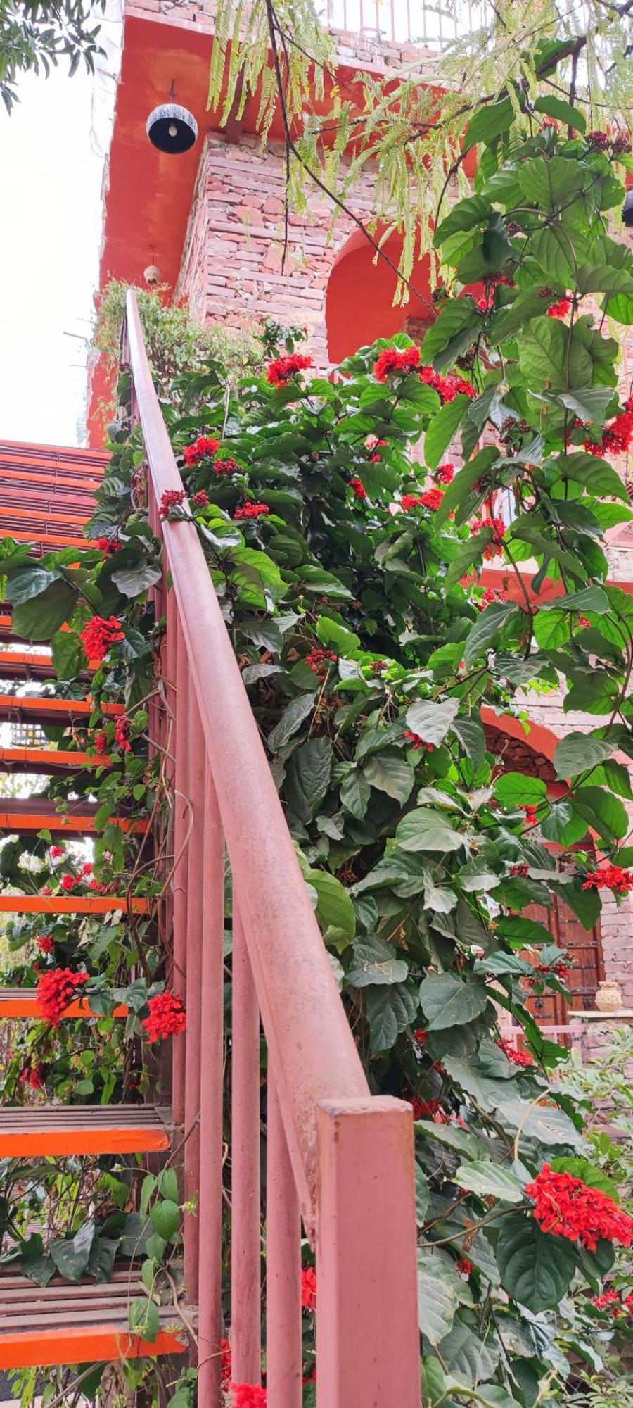 The Secret Garden Bed & Breakfast Pushkar Exterior photo