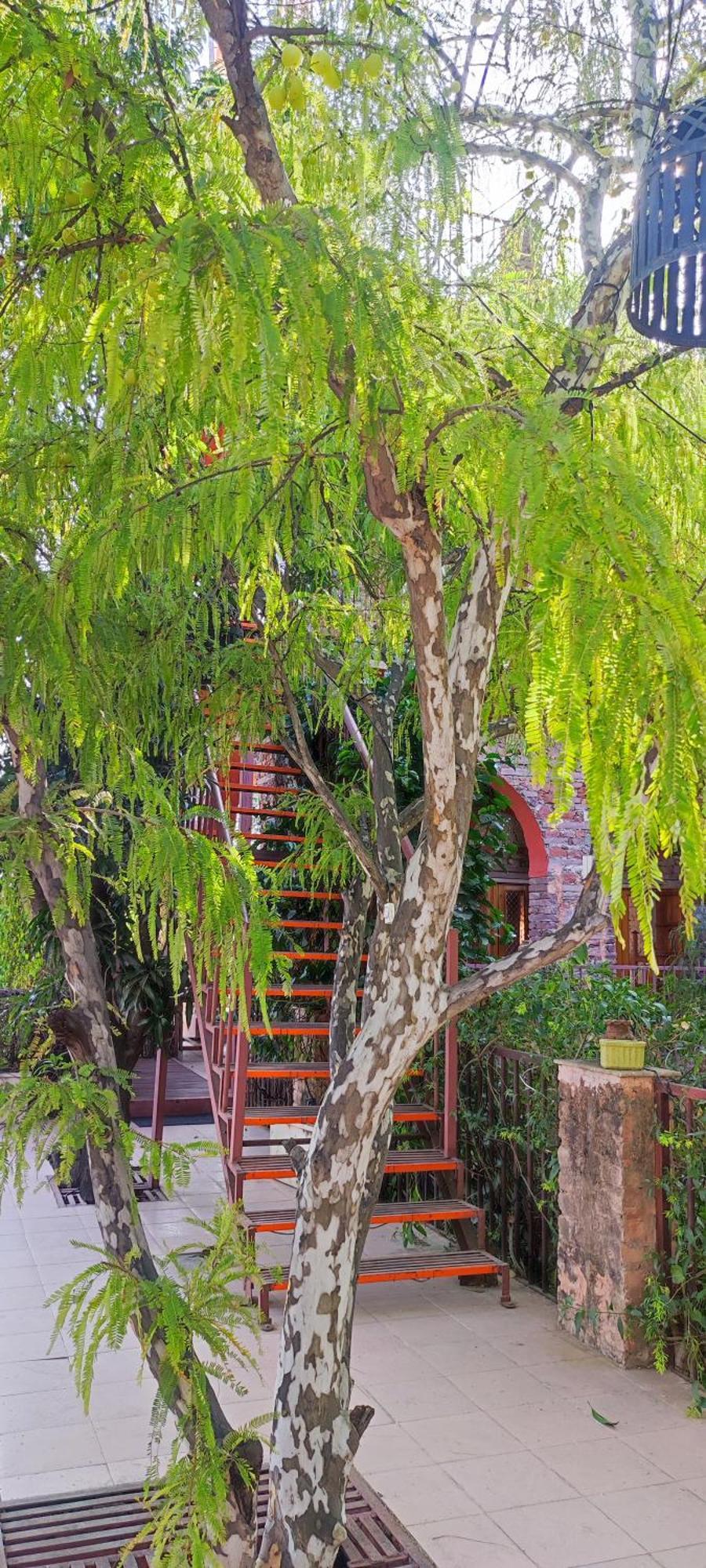 The Secret Garden Bed & Breakfast Pushkar Exterior photo