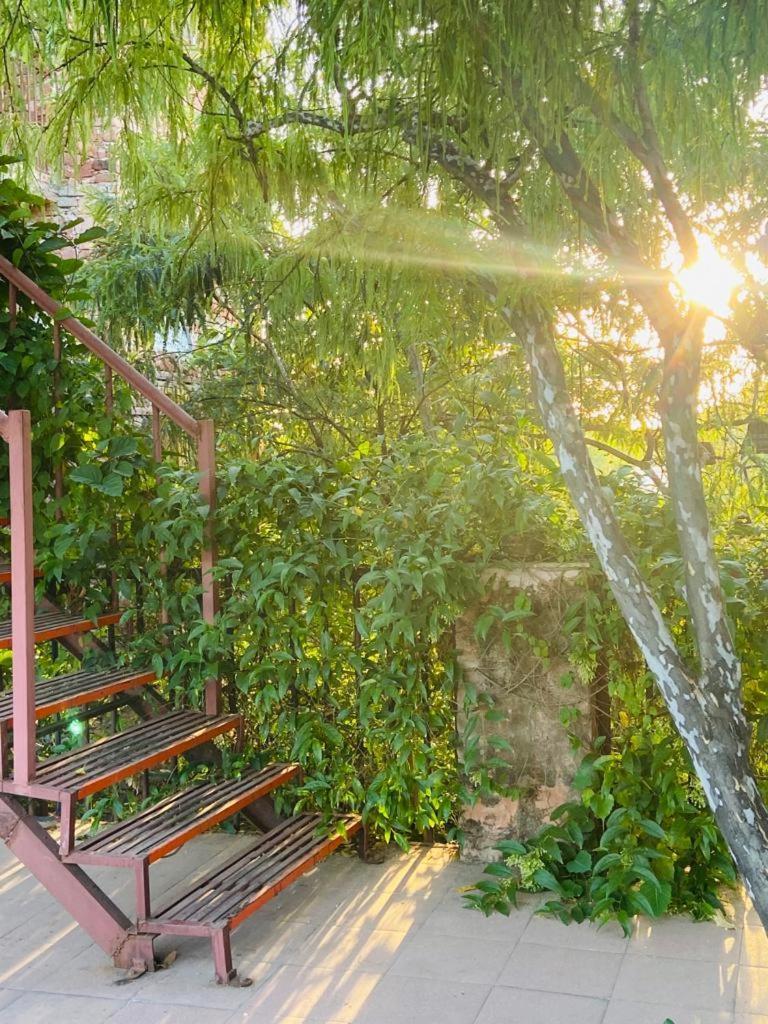The Secret Garden Bed & Breakfast Pushkar Exterior photo